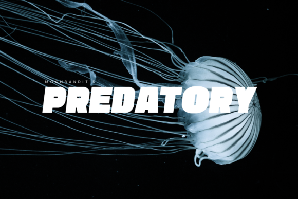 Predatory: A Bold and Dynamic Display Font for Sport-Related Designs